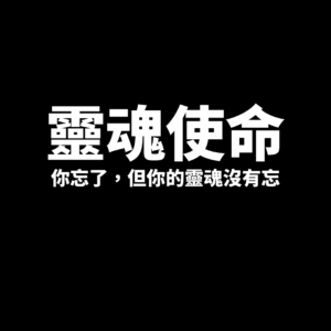 靈魂使命-你忘了，但你的靈魂沒有忘